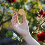Why Everyone Should Know and Understand NFT
